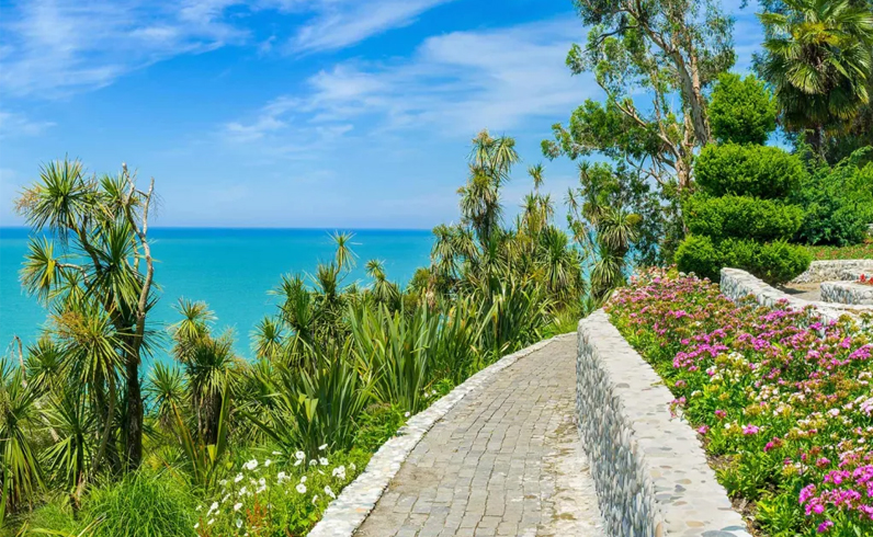 חבילות בטומי