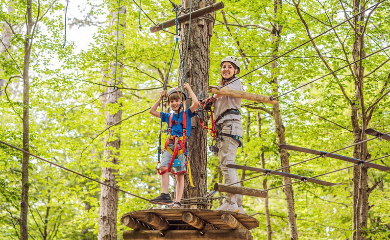 חבילות היער השחור