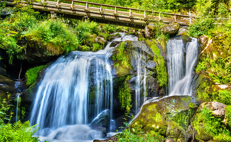 חבילות ציריך