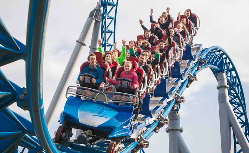 חבילות היער השחור