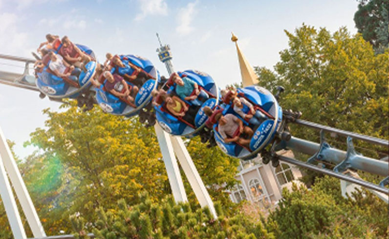 חבילות היער השחור