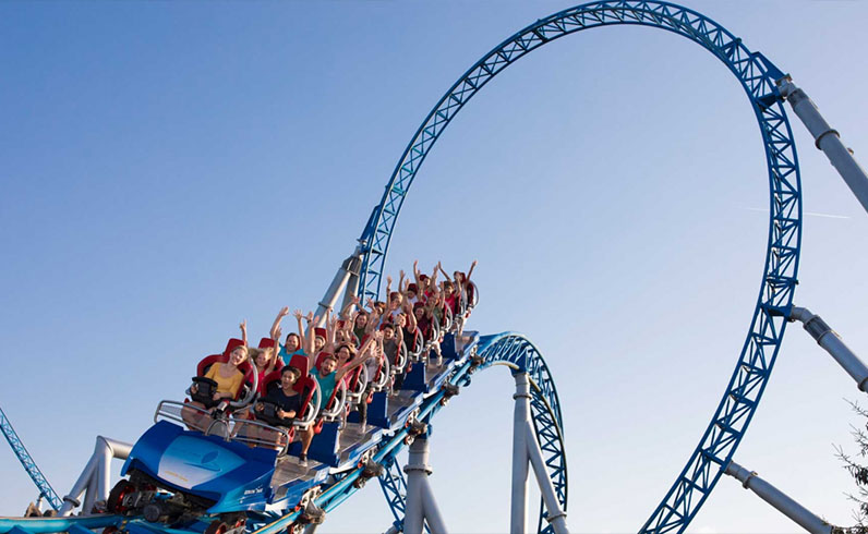 חבילות היער השחור