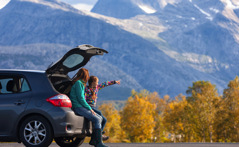 חבילות היער השחור
