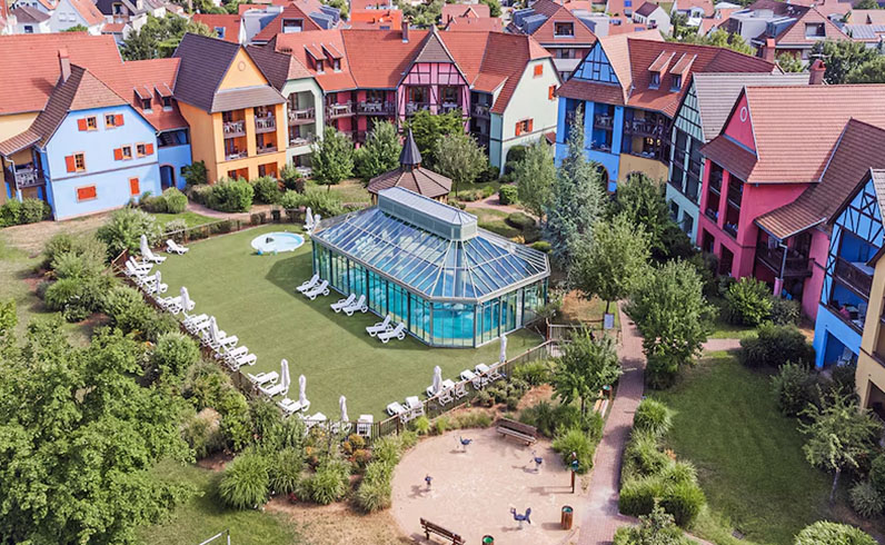 חבילות היער השחור