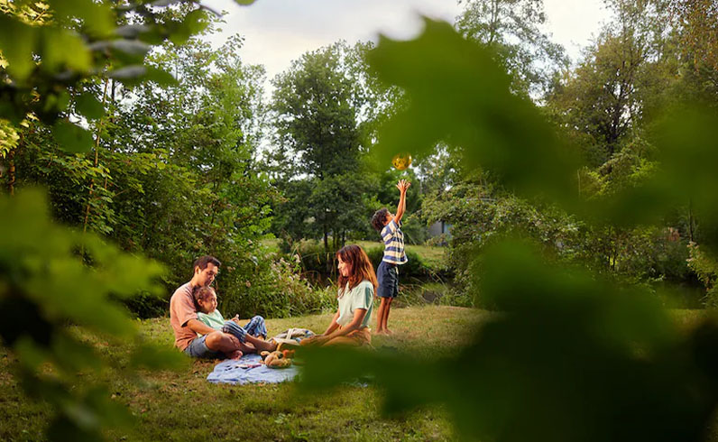 חבילות אמסטרדם