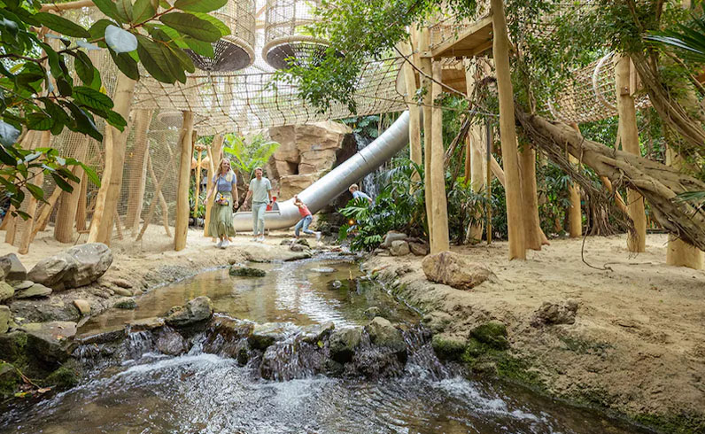 חבילות אמסטרדם