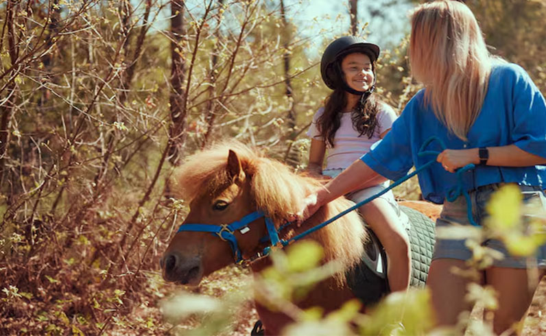 חבילות אמסטרדם