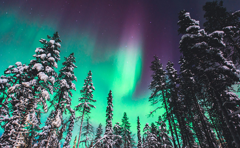 חבילות רייקיאוויק