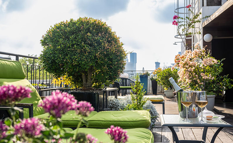 מלונות בישראל