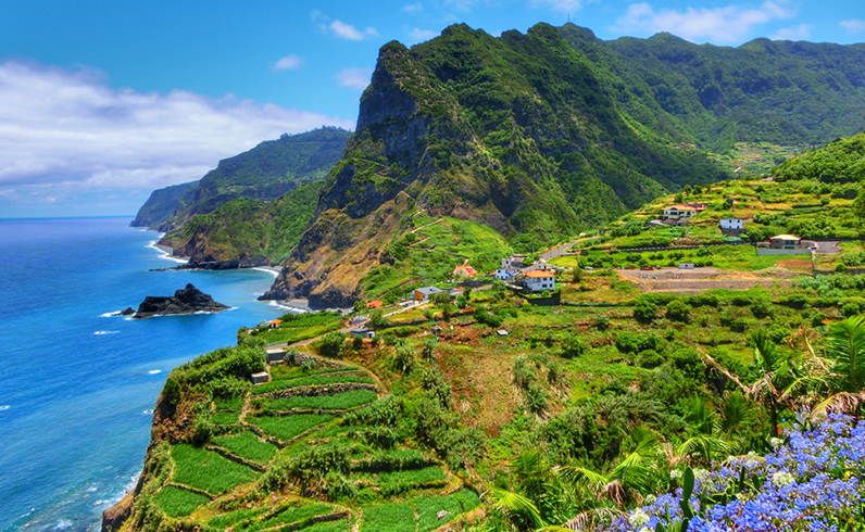 חבילות פונצאל