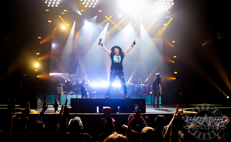 חבילות אמסטרדם