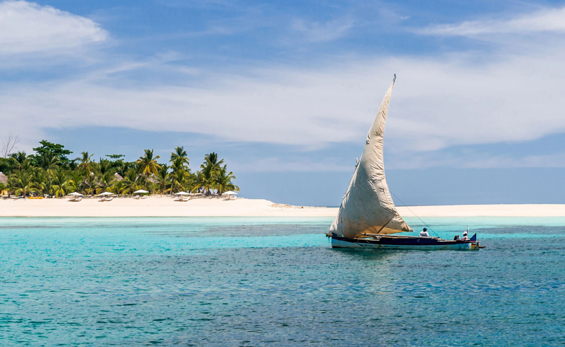 חבילות נוסי בה