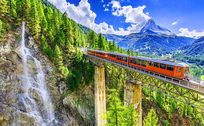 חבילות היער השחור