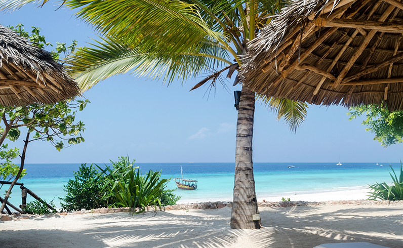 חבילות זנזיבר