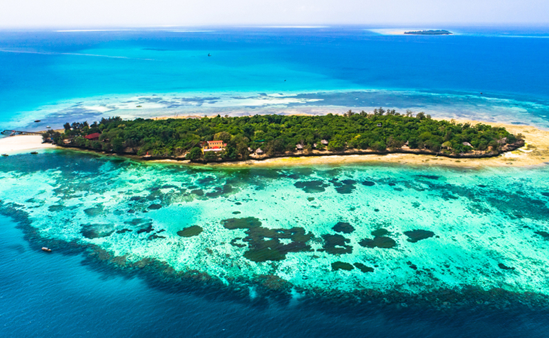 חבילות זנזיבר