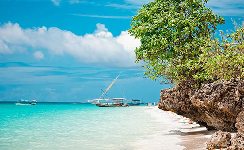 חבילות זנזיבר